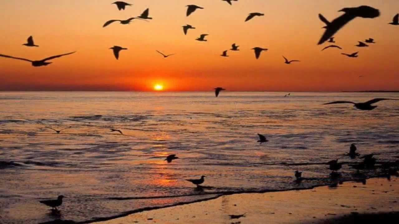 Mr Acker Bilk With The Leon Young String Chorale Stranger On The Shore Mr Acker Bilk With The Leon Young String Chorale Stranger On The Shore