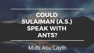 Video: Could Solomon speak with Ants? - Abu Layth