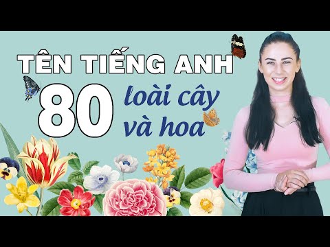 80 TỪ VỰNG TIẾNG ANH CƠ BẢN: CHỦ ĐỀ CÂY VÀ HOA - Học tiếng Anh Online (Trực tuyến)