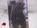 Alaskan Workers Trained to Be "bear-aware"