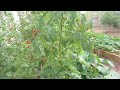 gardening