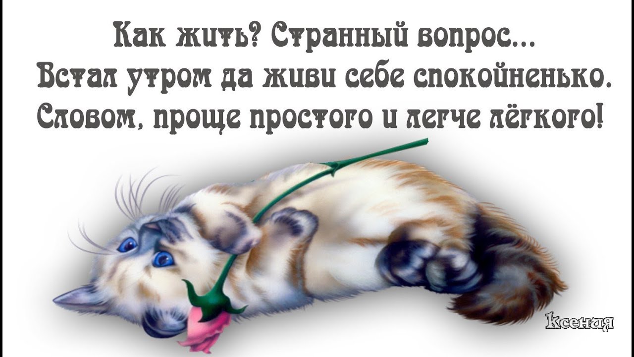 Проснулись потянулись улыбнулись с добрым утром