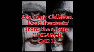 Watch Sex Gang Children Dead Peasants video