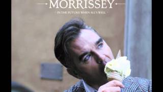 Watch Morrissey Ill Never Be Anybodys Hero Now video