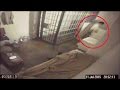 5 Real Prison/Jail Escapes Caught On Camera