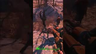 Goodbye Radscorpion.
