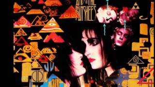 Watch Siouxsie  The Banshees Obsession video