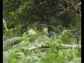 AIRSOFT SNIPER SCHOOL - good quality