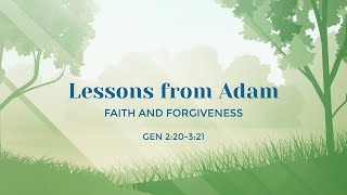 Lessons from Adam