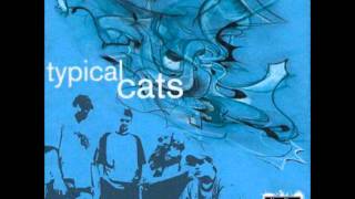 Watch Typical Cats Thin Red Line video