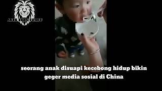 Anak Kecil Makan Kecebong Hidup | viral Anak Kecil Makan Kecebong Hidup | viral