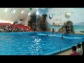 Харьковский дельфинарий