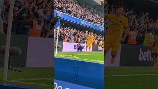 De Cuyper Goal Sends Brighton Fans Wild