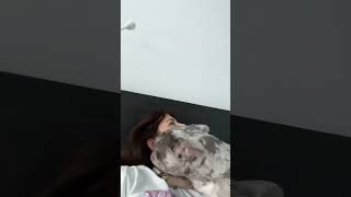 Malu Trevejo - Kiss Dog