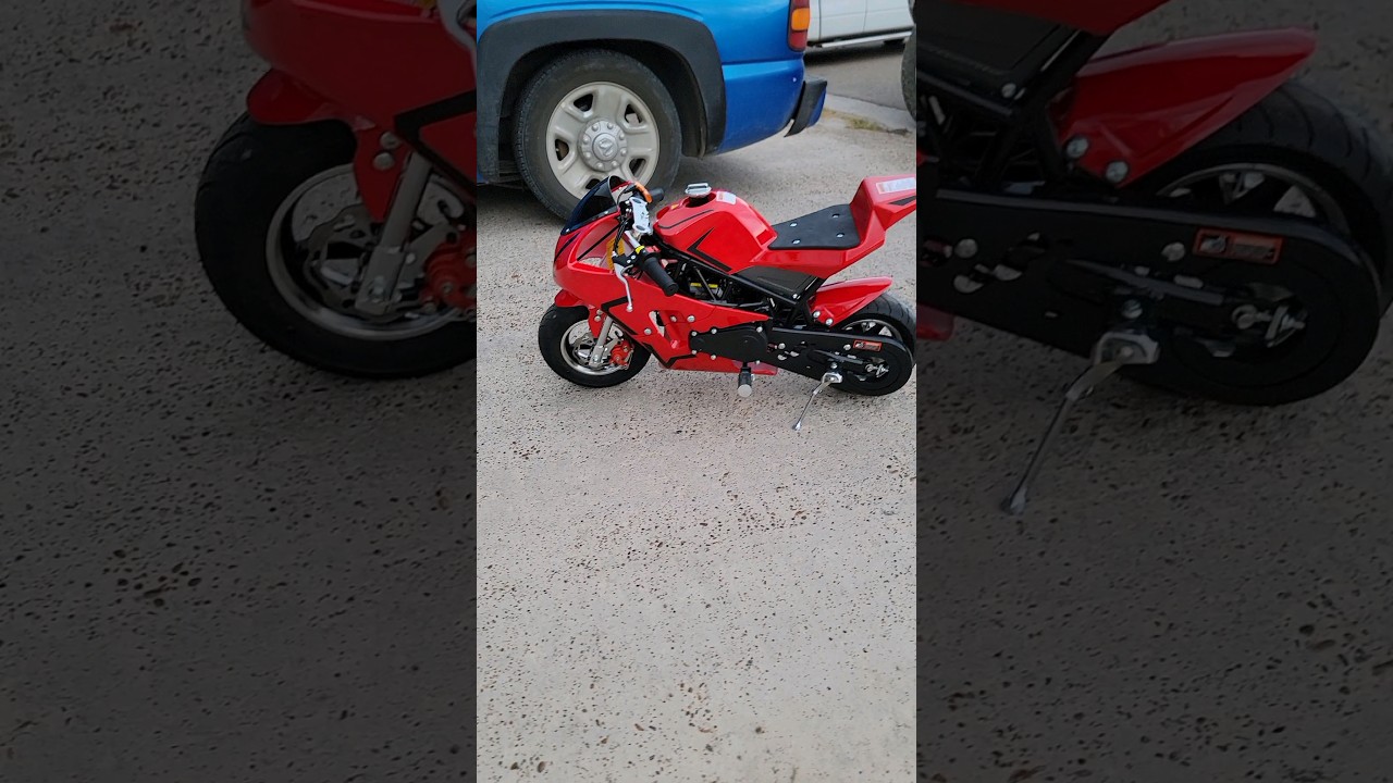 50cc Pocket Bike from TEMU #temu #frp #minibike #shorts 50cc Pocket Bike from TEMU #temu #frp #minibike #shorts