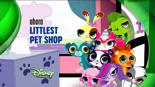 Disney Channel España: Ahora Littlest Pet Shop (Nuevo Logo 2014) 2