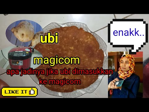 Bolu ubi magicom