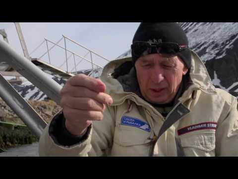смотреть онлайн охота и рыбалка телеканал стрим