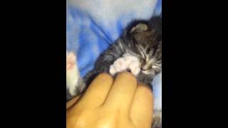 Tickle Time