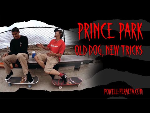 'Old Dog, New Tricks' - Prince Park