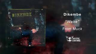Watch Dikembe Wake video