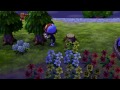 Animal Crossing: New Leaf - Part 173 - Visiting Eugene (Nintendo 3DS Gameplay Walkthrough Day 104)