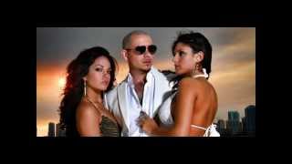 Watch Pitbull Shake Senorita Ft Tpain video