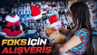 Foksla Alişveri̇ş Yaptik Amerikada Petshop Marketi
