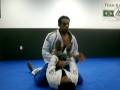 Basic Armlock from mount