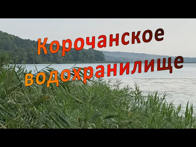 Рыбалка Корочанское водохранилище, после замора