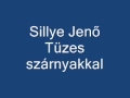 Sillye Jenő Tüzes szárnyakkal