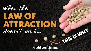If The Law Of Attraction Isn't Working For You, Watch This