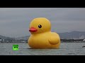 Un gigante pato en el puerto de Hong Kong