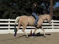 Riding Technique: The Basics of Posting