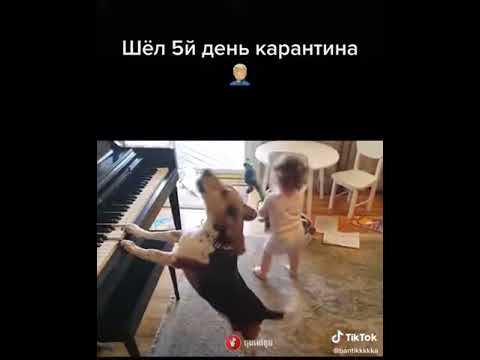 Шел Пятый День Карантина Порно