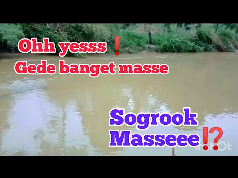 waooo❗ooh yesss gede banget massee.