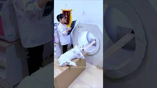 Dog Helps Girl As Patient