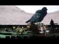 DEPECHE MODE - Hole To Feed + Walking In My Shoes (Live in Malm