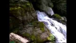 Castellar de n'Hug - Les fonts del Llobregat
