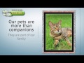 Personalized Blankets of Your Pet - BlanketWorx Personalized Blankets