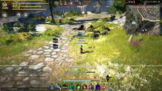 Black Desert Tamer Combo