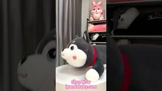 Come And Get Your First Husky Plush Toy