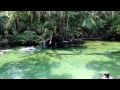 Америка с Региной - путешествие в Blue Springs Florida Гроза 10.06.2014