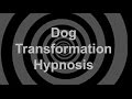 Dog Transformation Hypnosis