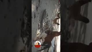 tl2-0N7S1wI Video Image