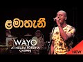 WAYO (Live) - Lamathani (ළමාතැනී)