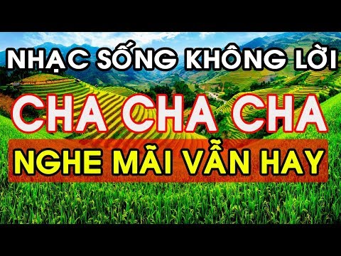 Nhạc Sống Không Lời Hay Nhất - NGHE MÃI VẪN HAY - LK Nhạc Sống Trữ Tình Cha Cha Cha