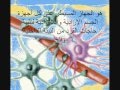 مميزات الإتصال العصبي