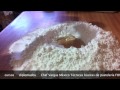 Chef Vargas México Técnicas básicas de pastelería FONDANT EXTENDIDO
