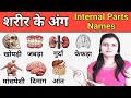 Internal Body Parts name in Hindi & English with Pictures | शरीर के अंग | Name of Body Parts